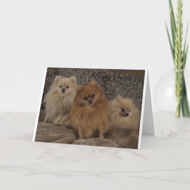 Pedigree pomeranian teacup trio, valentine's day holiday card (Front)