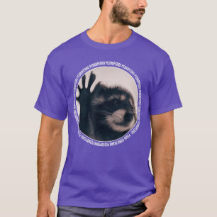 Pedro Funny Raccoon Dancing Meme funny T-Shirt