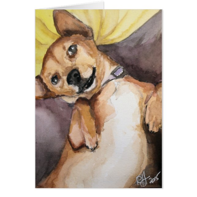 Pedro the Chiweenie (Front)