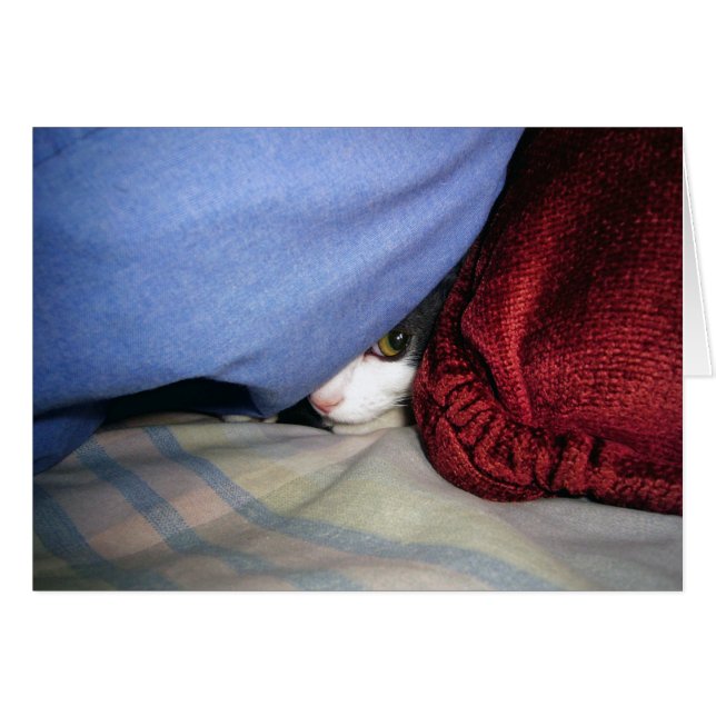 Peek a Boo (Front Horizontal)