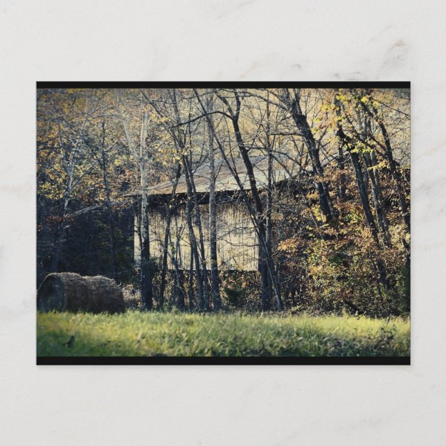 Peek-a-Boo Barn Postcard (Front)