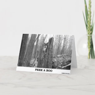 PEEK A BOO CARD