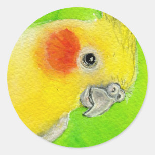 Peek-a-boo Cockatiel Classic Round Sticker