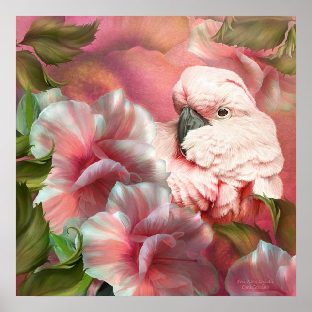 Peek A Boo Cockatoo Fine Art Poster/Print Poster (Front)