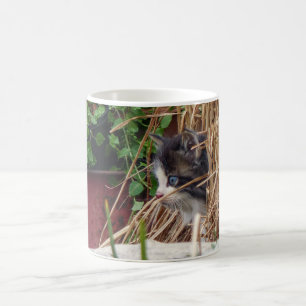Peek-a-Boo Coffee Mug