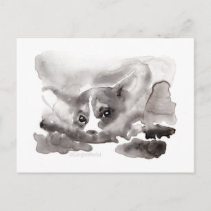 Peek-a-Boo Corgi Postcard