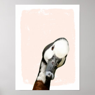 Peek a boo duck nursery wall art