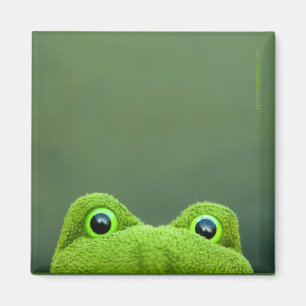 Peek-a-Boo Frog Square Magnet Design