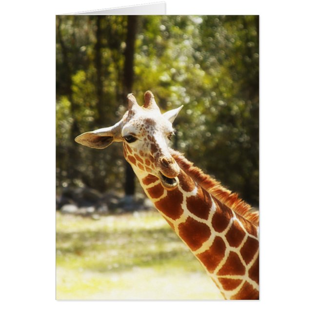 Peek-a-Boo Giraffe (Front)