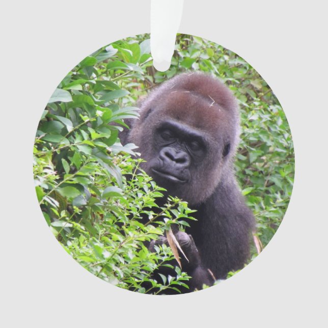 Peek-A-Boo Gorilla Ornament (Front)