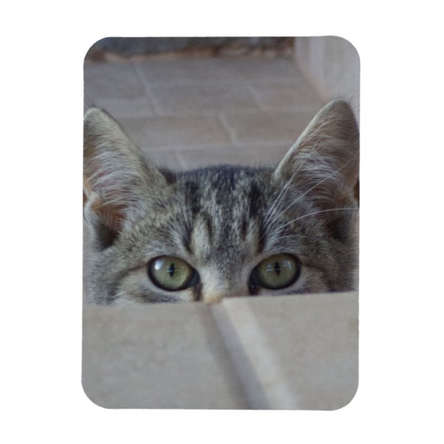Peek-a-boo kitten magnet (Vertical)