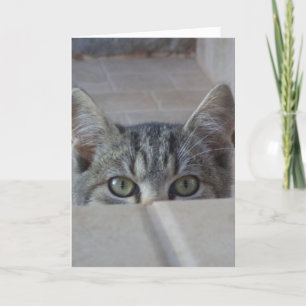 Peek-a-boo kitten Valentines card