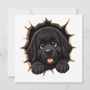 Peek A Boo Newfie Puppy