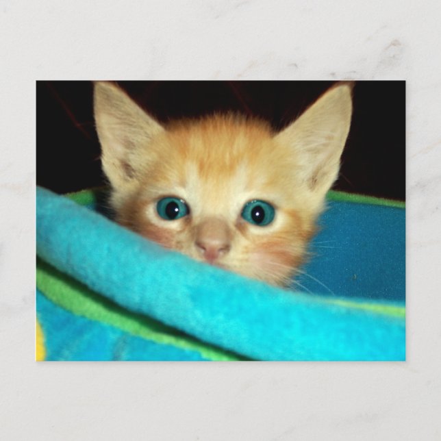 PEEK-A-BOO POSTCARD (Front)