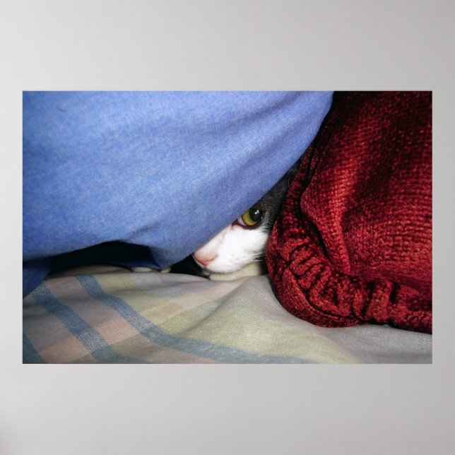 Peek a Boo Poster (Front)