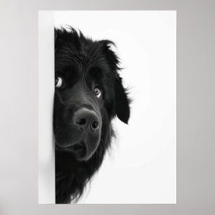 Peek-a-Boo Pup – Funny Dog Photography Print” Poster