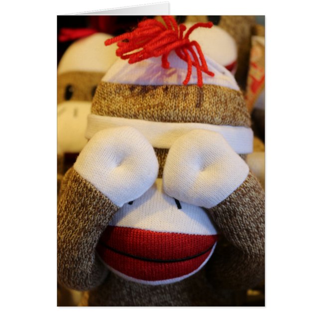 Peek-a-boo Sock Monkey (Front)
