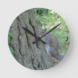 Peek A Boo Squirrel - Round Clock