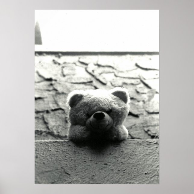 Peek-a-Boo Teddy Poster (Front)