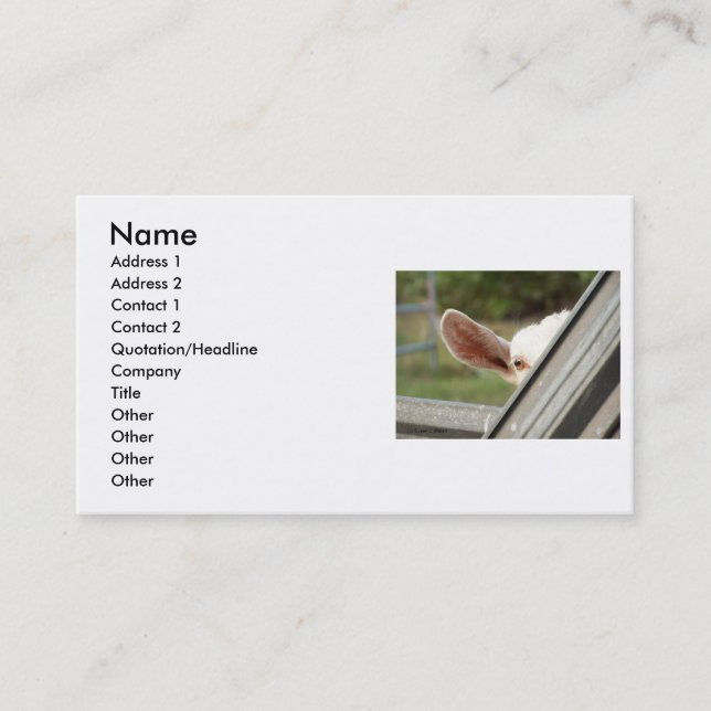 Peek a boo white goat! Cute goat waiting picture Business Card (Front)