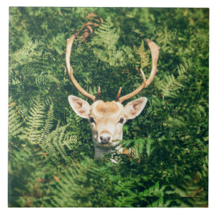Peek a Deer  Ceramic Tile