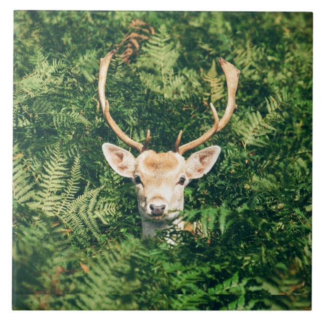 Peek a Deer  Ceramic Tile (Front)