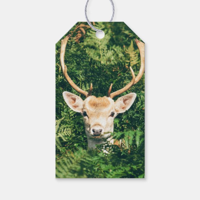Peek a Deer  Gift Tags (Front)