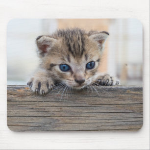 Peek-a-Purr Mouse Pad
