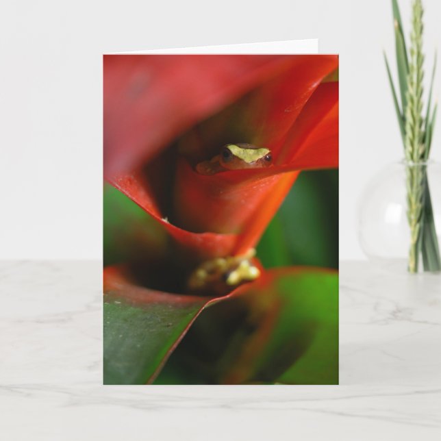 Peekaboo Card (Front)