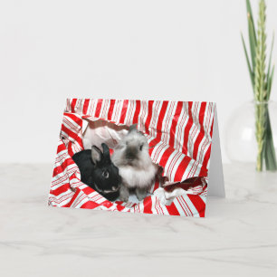 Peekaboo Christmas bunnies Holiday Card