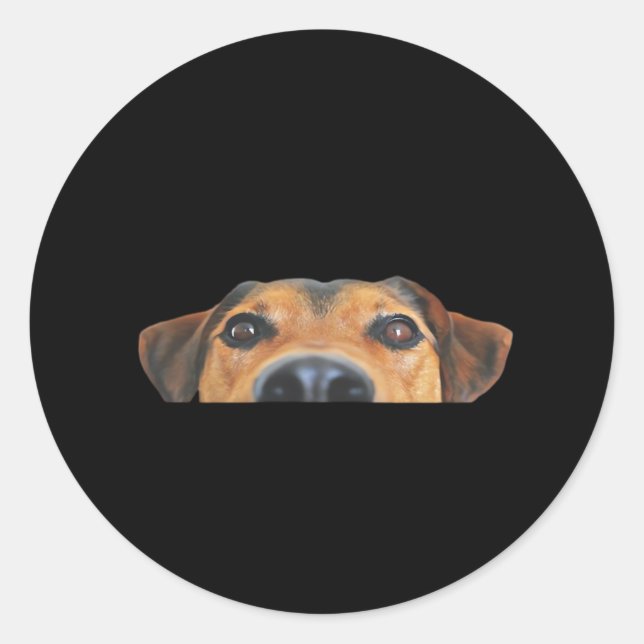 Peekaboo Dog Classic Round Sticker (Front)