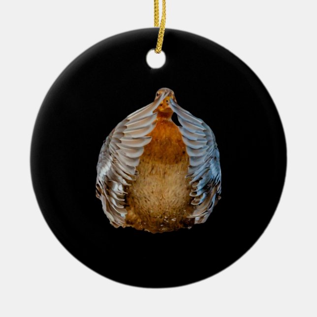 Peekaboo Duck Ceramic Ornament (Front)