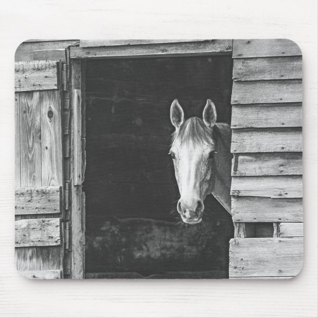 Peekaboo Grey Mare Horse Mouse Pad (Front)