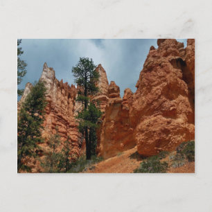 Peekaboo Loop to Bryce Point  Bryce Canyon Nationa Postcard