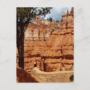 Peekaboo Loop to Bryce Point  Bryce Canyon Nationa Postcard