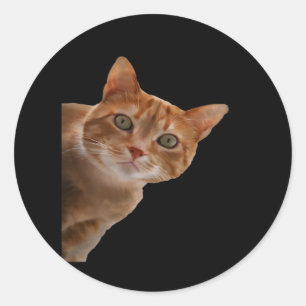 Peekaboo- Painting Classic Round Sticker