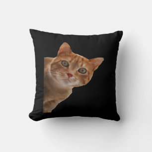 Peekaboo- Painting Cushion