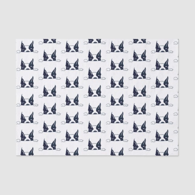 Peekaboo Tissue Paper (Front)