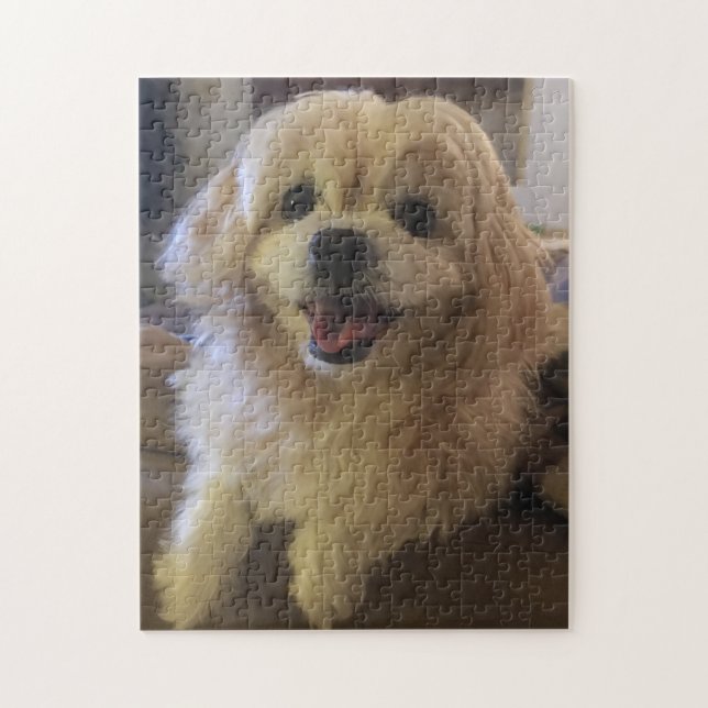 Peekapoo Dog Puzzle (Vertical)