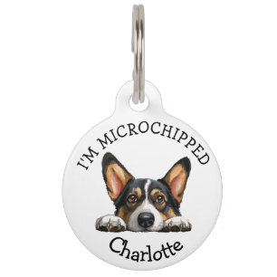Peeking Black Corgi Puppy Personalised Pet Tag