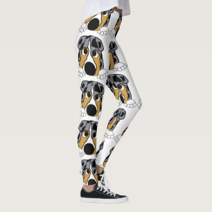 peeking blue merle aussie leggings