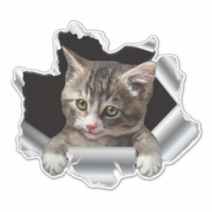 Peeking Cat Vinyl Decal  Car decal, Bumper sticker