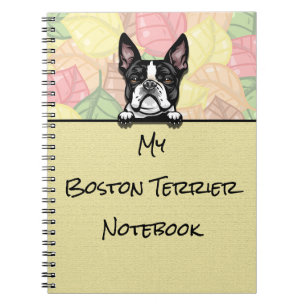 Peeking Cute Boston Terrier notebook