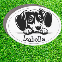 Peeking Dachshund Puppy Personalised