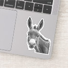 Peeking Donkey Funny 