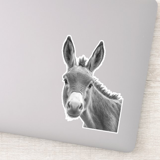 Peeking Donkey Funny  (Detail)