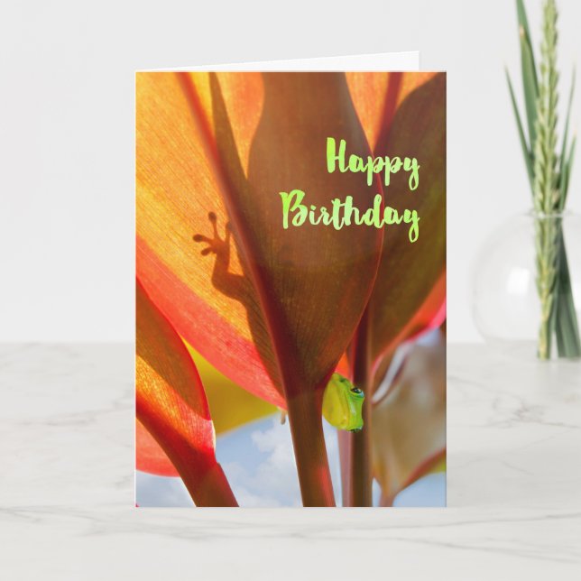Peeking Gecko Happy Birthday Card (Front)