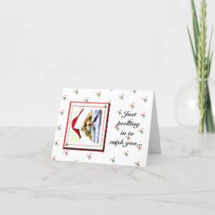 Peeking In Christmas Cat Holiday Card