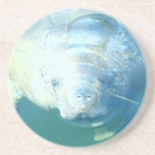 Peeking Manatee  Coaster