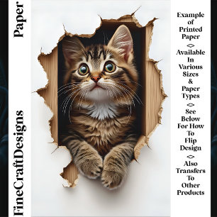 Peeking Out Of Hole Tabby Cat CN5 Scrapbook Paper